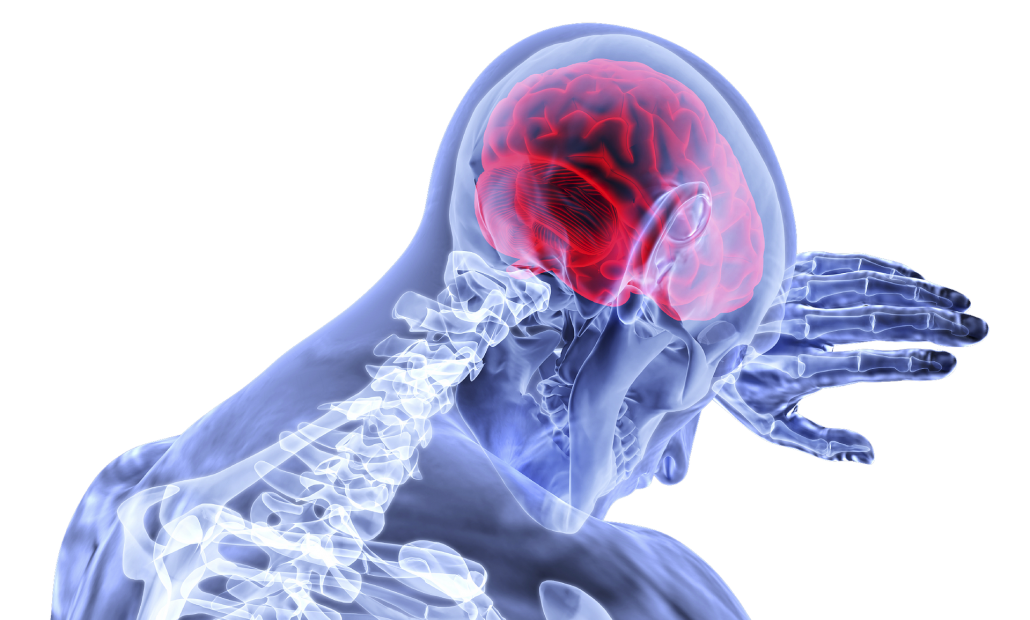 CBD bei Entzündungen, ein Körper der sich an den Kopf fasst und wo das Gehirn rot leuchtet.